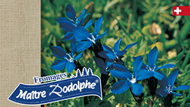 Le Solliat; Fromages; vacherin; raclette; fondue, tomme; Gruyère; Vallée de Joux; Le Sentier; Meule; Rodolphe Gostelli; Récompenses; Prix;