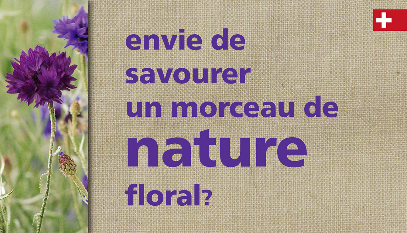 Le Solliat; Fromages; vacherin; raclette; fondue, tomme; Gruyère; Vallée de Joux; Le Sentier; Meule; Rodolphe Gostelli; Récompenses; Prix;