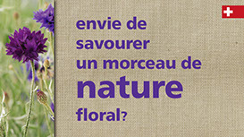 Le Solliat; Fromages; vacherin; raclette; fondue, tomme; Gruyère; Vallée de Joux; Le Sentier; Meule; Rodolphe Gostelli; Récompenses; Prix;